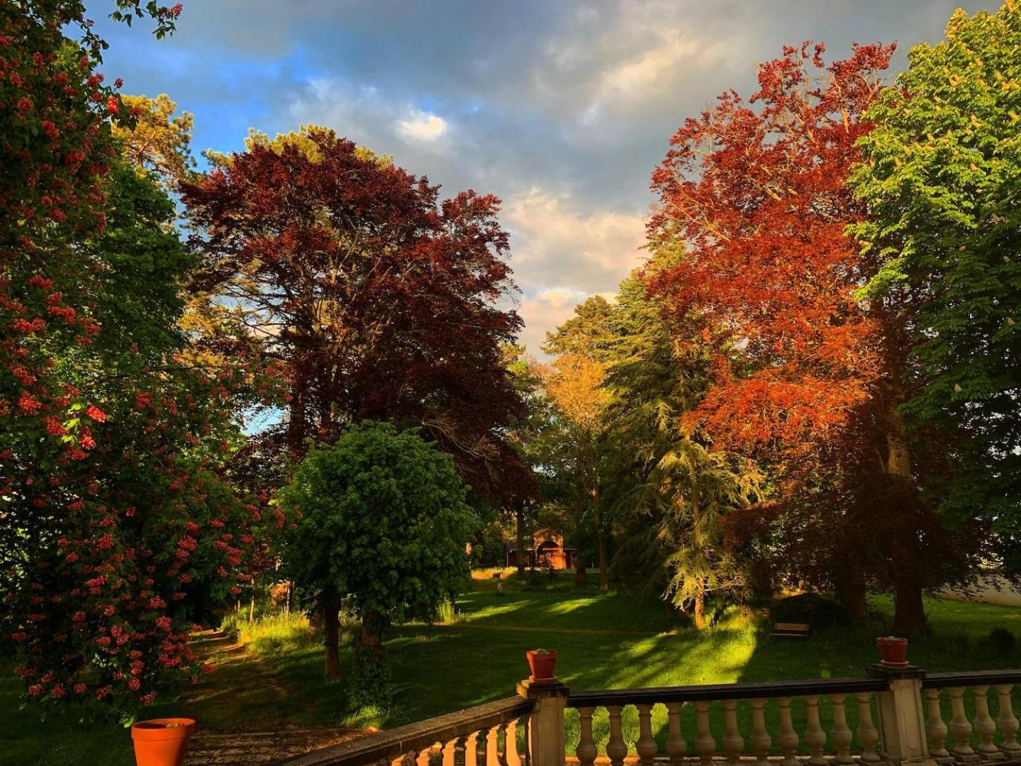 Chateau De Ligny Dış mekan fotoğraf